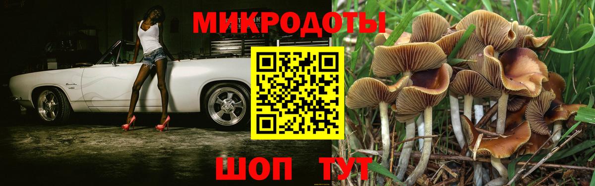 Лобня  Галлюциногенные грибы Psilocybe  Вход с VPN 