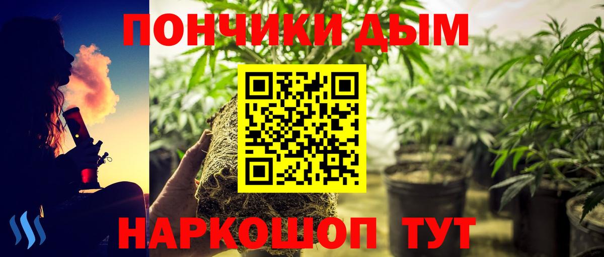 Конопля гибрид Лобня